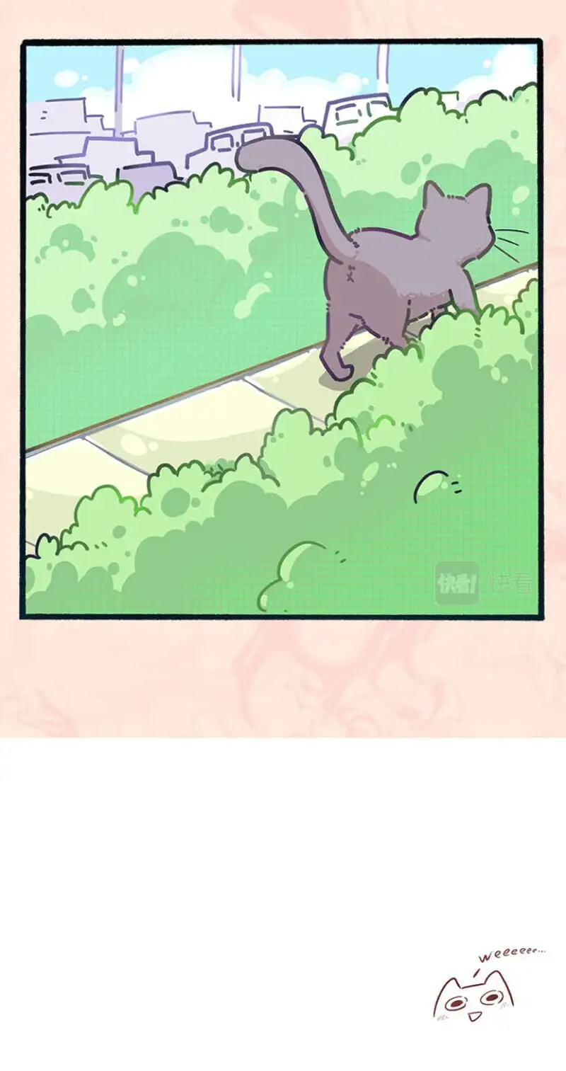 Truyện Tranh Ngũ Miêu trang 4