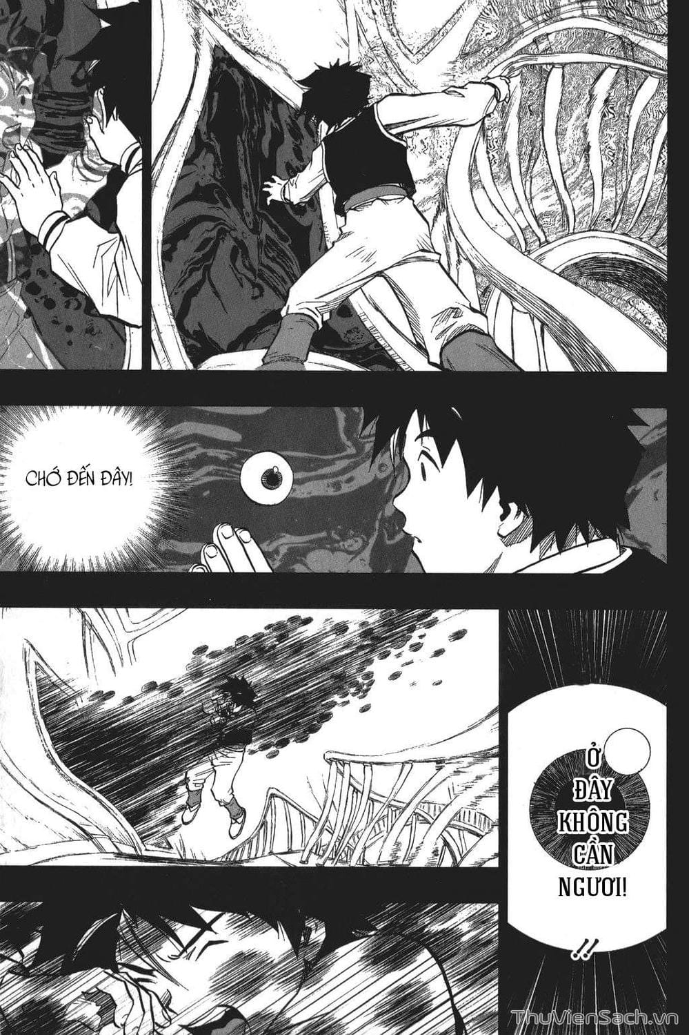 Truyện Tranh Dấu Ấn Rồng Thiêng - Người Kế Thừa Thánh Huy trang 3