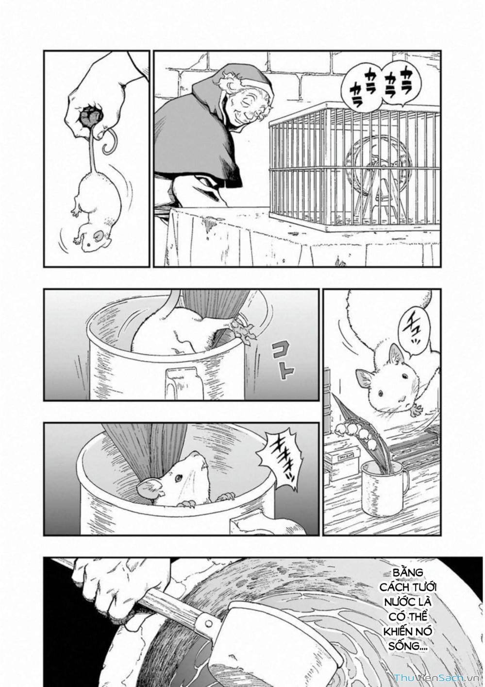 Truyện Tranh Dấu Ấn Rồng Thiêng - Người Kế Thừa Thánh Huy trang 3