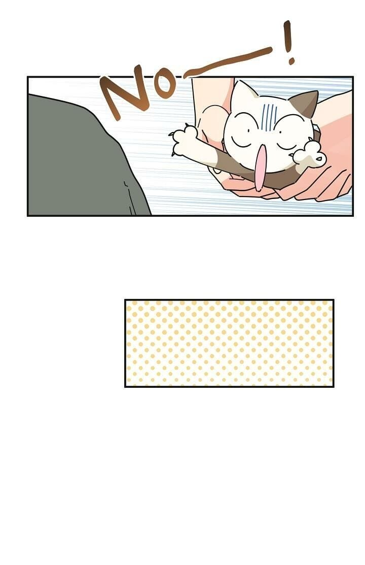 Truyện Tranh Người Hùng Của Ác Nữ - The Devil Lady’s Hero trang 6