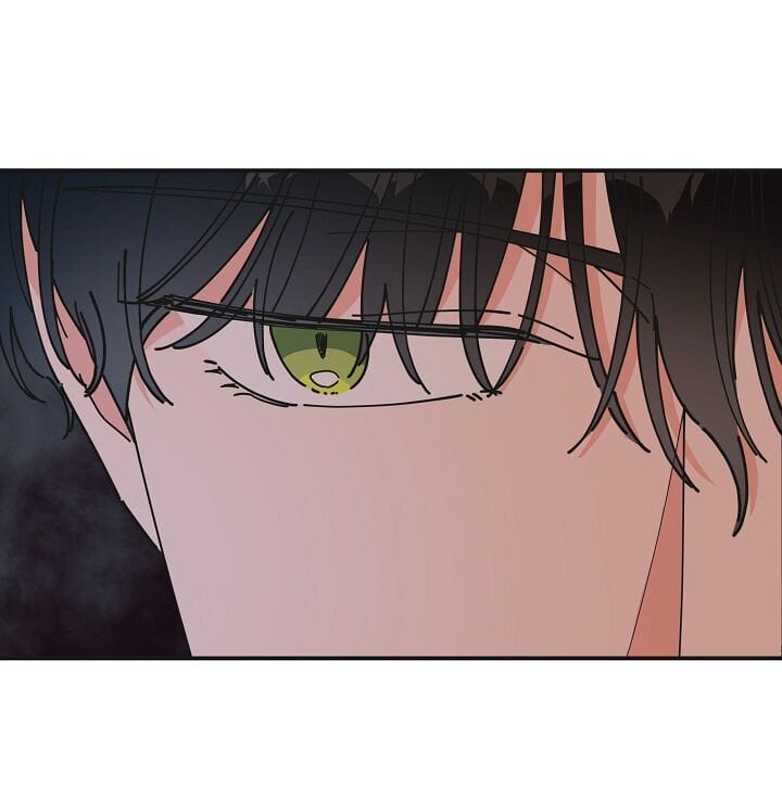 Truyện Tranh Người Hùng Của Ác Nữ - The Devil Lady’s Hero trang 6