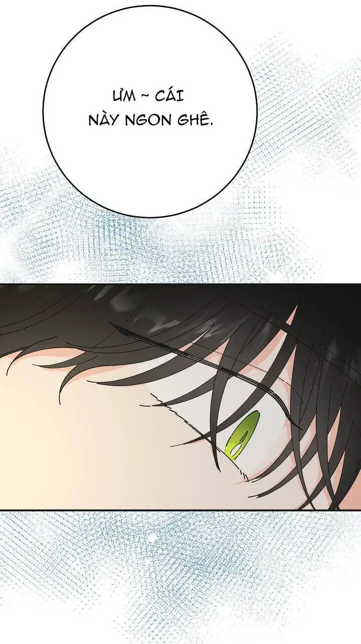 Truyện Tranh Người Hùng Của Ác Nữ - The Devil Lady’s Hero trang 6