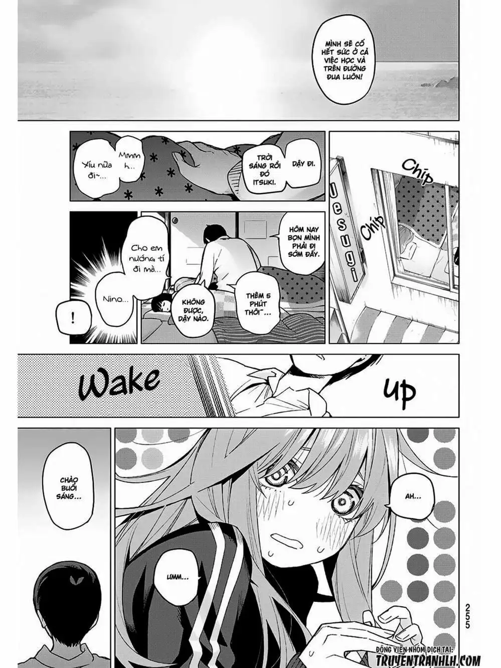 Truyện Tranh Nhà Có 5 Nàng Dâu - Gotoubun No Hanayome trang 6