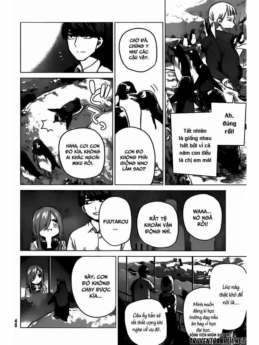 Truyện Tranh Nhà Có 5 Nàng Dâu - Gotoubun No Hanayome trang 6