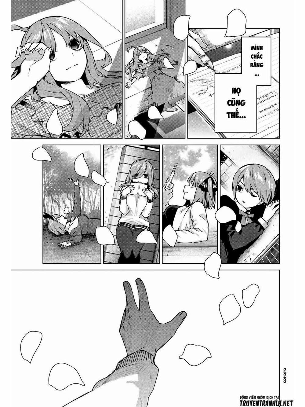 Truyện Tranh Nhà Có 5 Nàng Dâu - Gotoubun No Hanayome trang 6