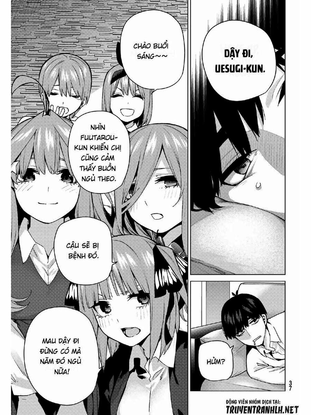 Truyện Tranh Nhà Có 5 Nàng Dâu - Gotoubun No Hanayome trang 6