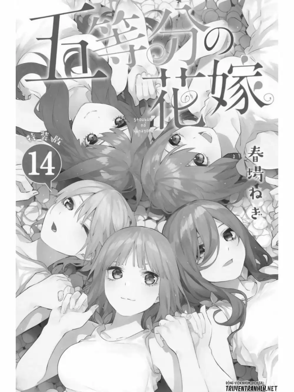 Truyện Tranh Nhà Có 5 Nàng Dâu - Gotoubun No Hanayome trang 6