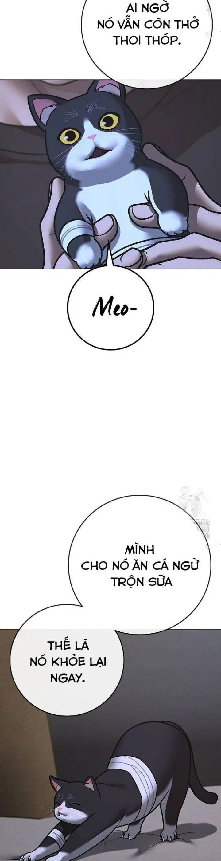 Truyện Tranh Nhiệm Vụ Đời Thật trang 5