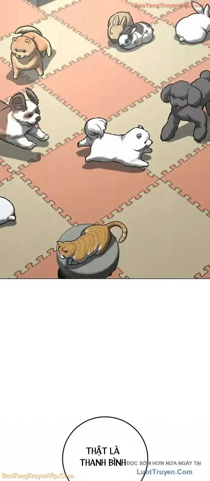 Truyện Tranh Nhiệm Vụ Đời Thật trang 5