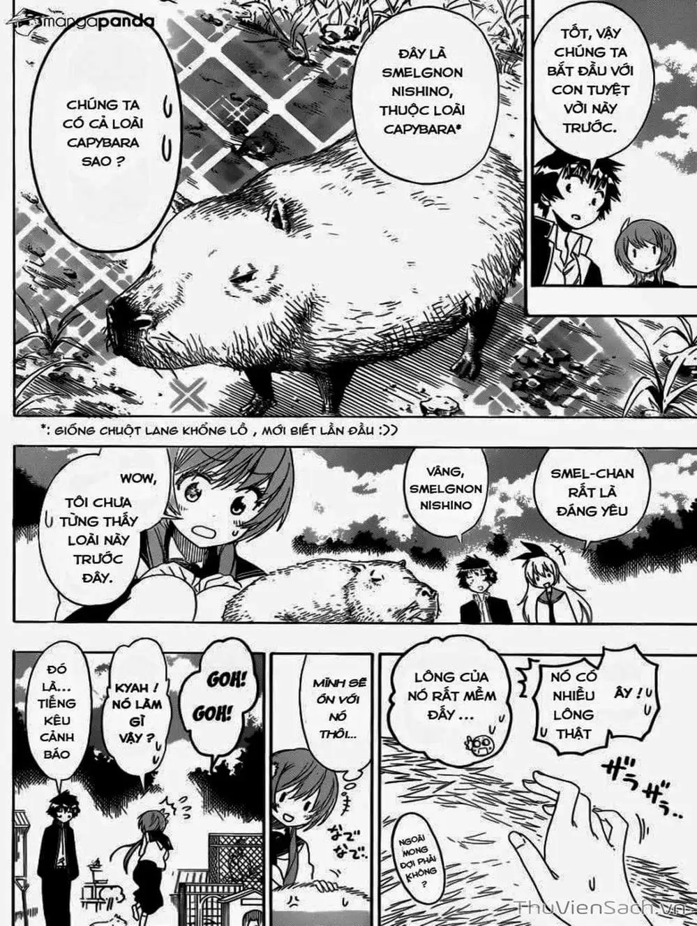 Truyện Tranh Tình Yêu Giả Tạo - Nisekoi trang 8