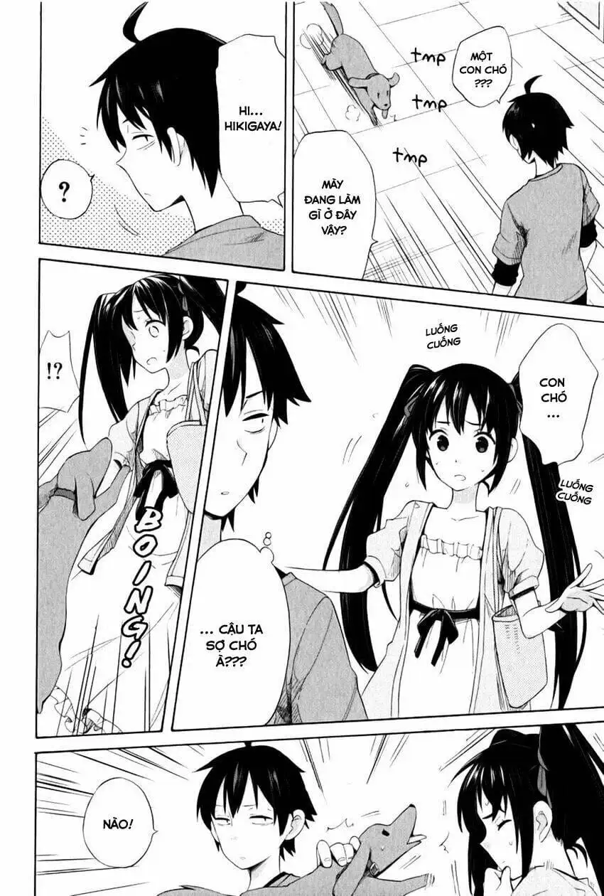 Truyện Tranh Chuyện Tình Thanh Xuân Bi Hài Của Tôi Quả Nhiên Là Sai Lầm - Oregairu trang 6