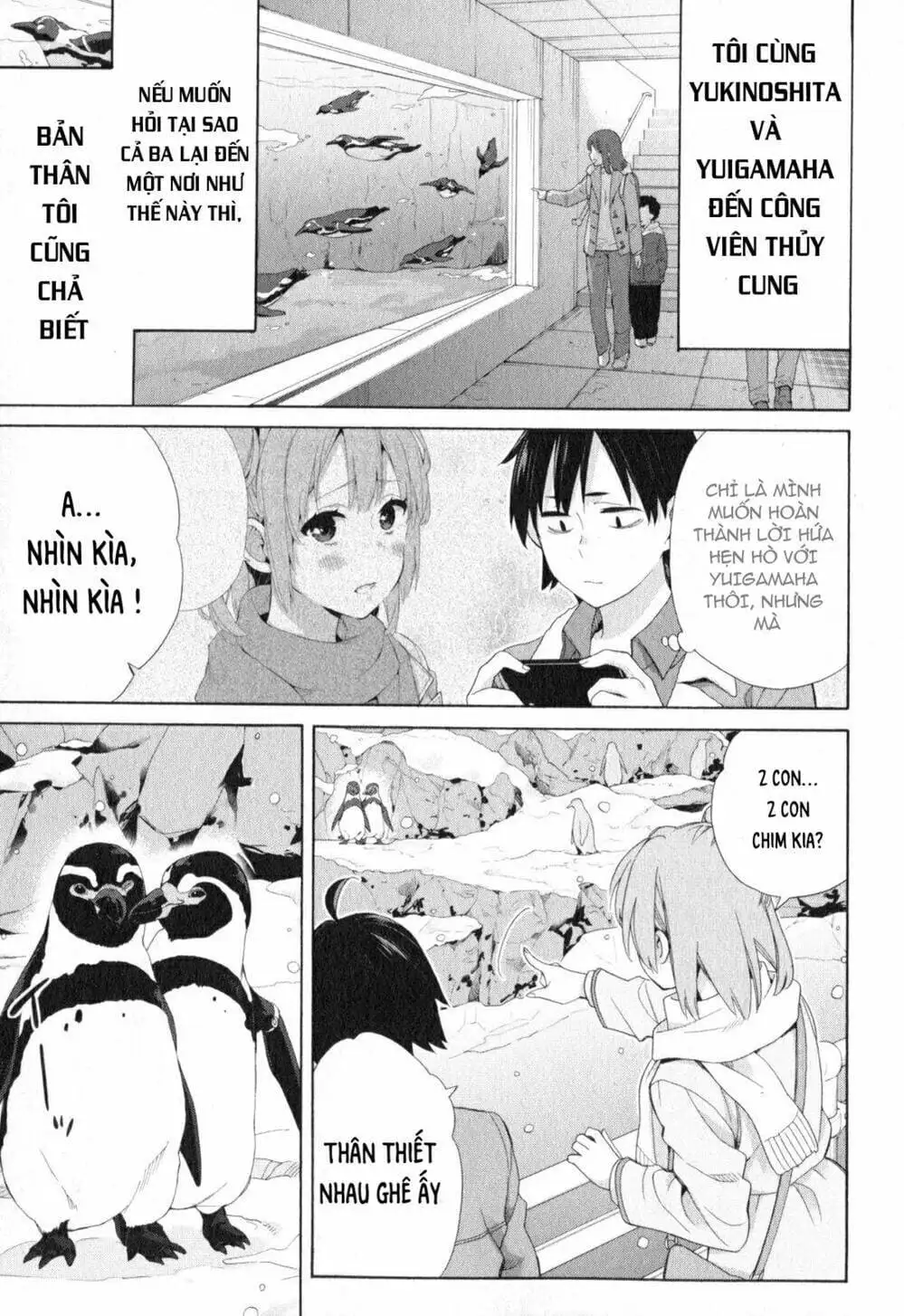 Truyện Tranh Chuyện Tình Thanh Xuân Bi Hài Của Tôi Quả Nhiên Là Sai Lầm - Oregairu trang 6