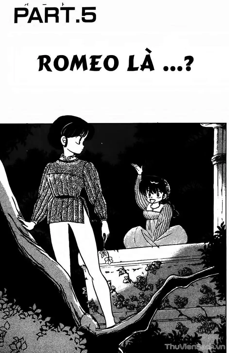 Truyện Tranh Một Nửa Ranma trang 4