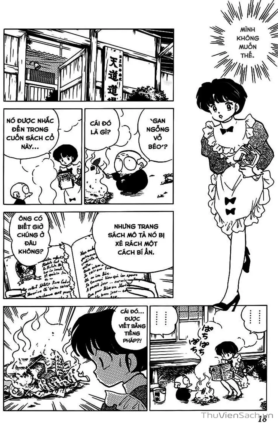 Truyện Tranh Một Nửa Ranma trang 4