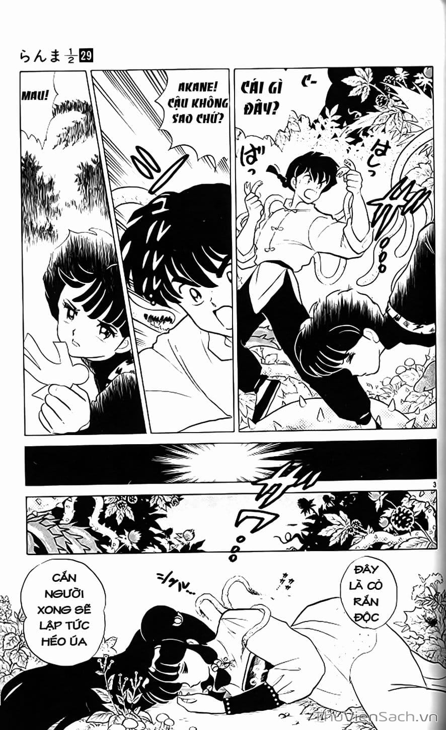 Truyện Tranh Một Nửa Ranma trang 4