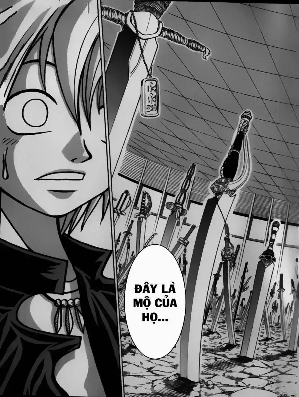 Truyện Tranh Thánh Thạch Rave - Rave Master trang 8