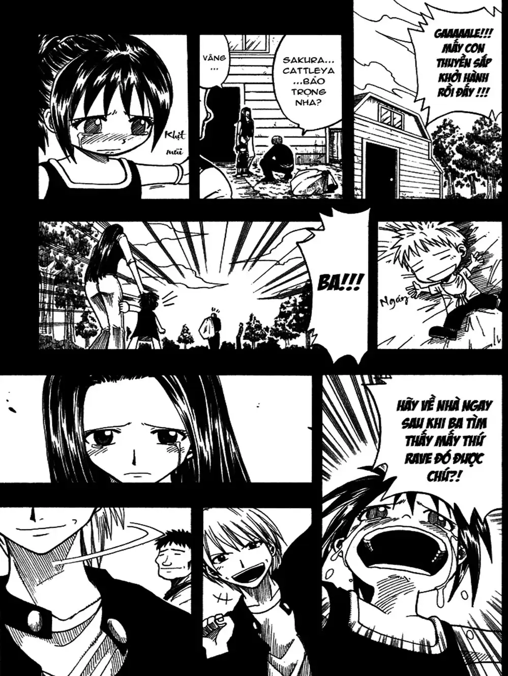 Truyện Tranh Thánh Thạch Rave - Rave Master trang 8