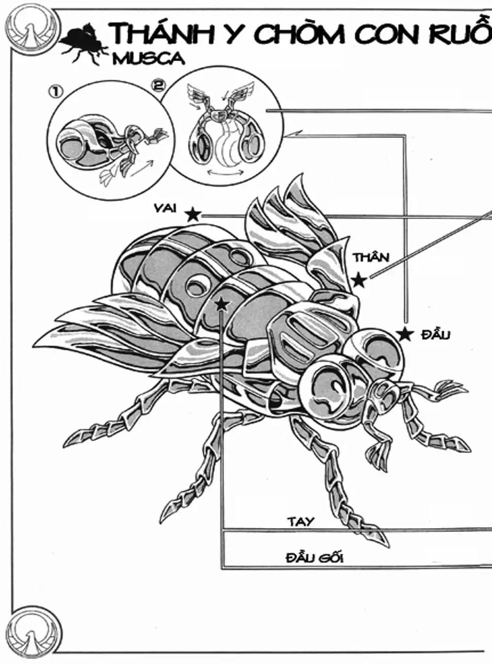 Truyện Tranh Áo Giáp Vàng - Saint Seiya trang 4