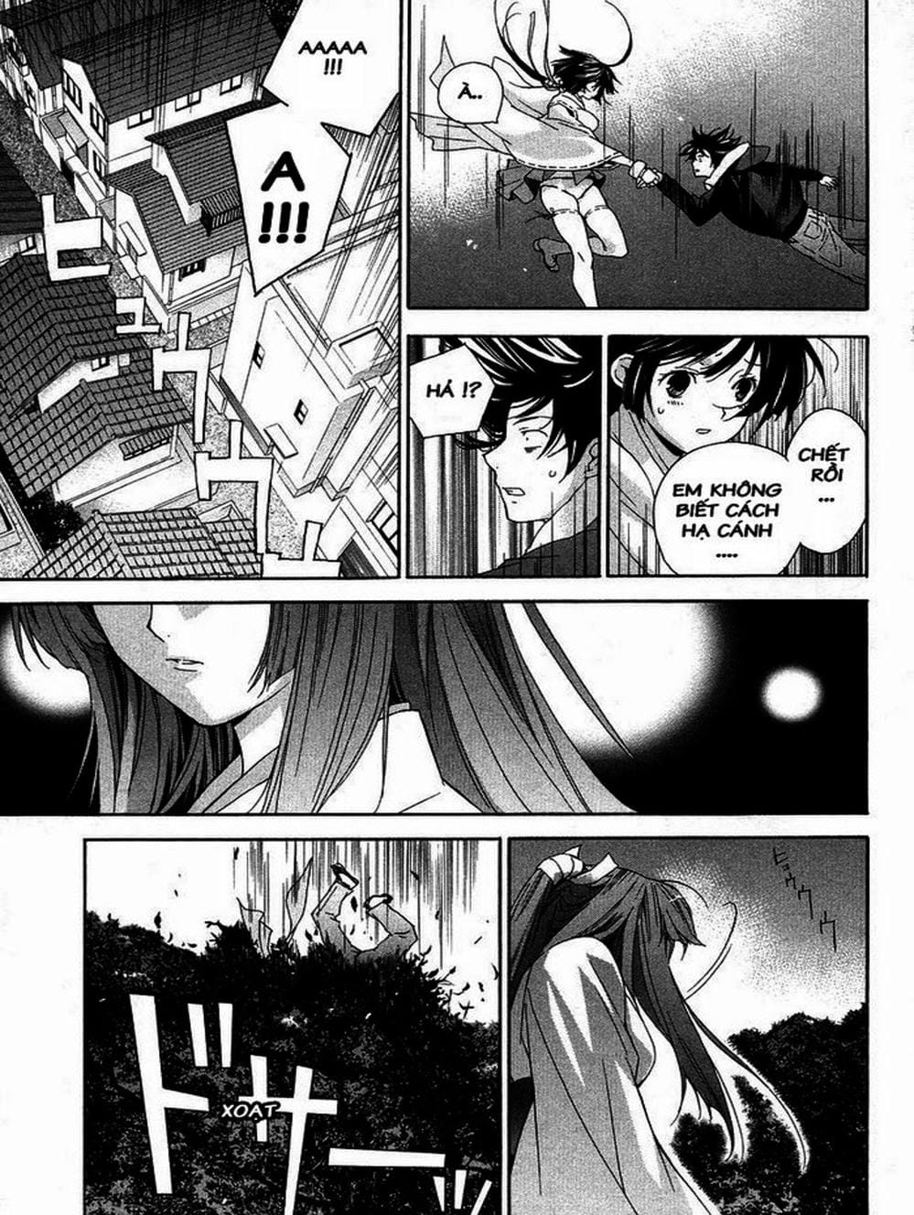 Truyện Tranh Sekirei trang 7