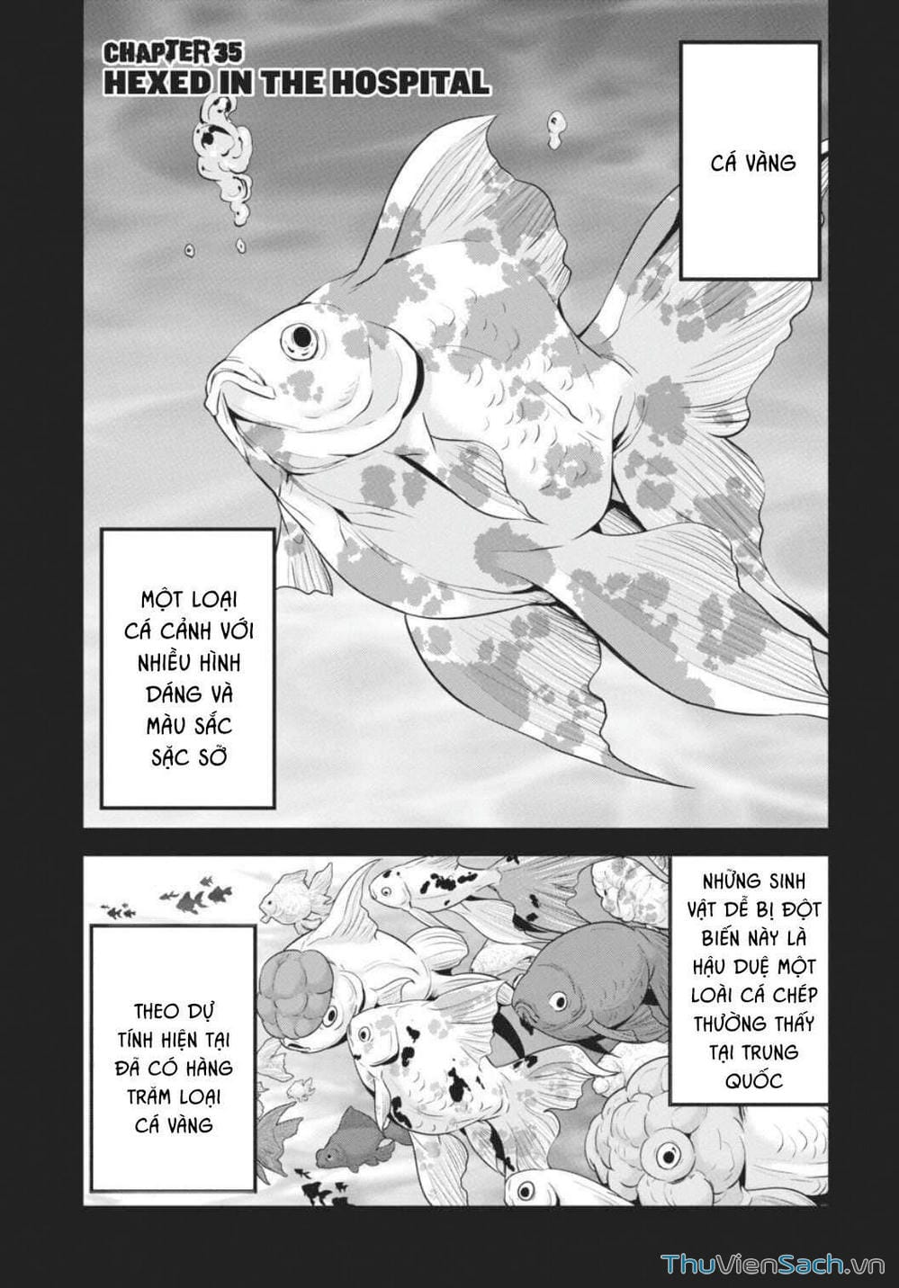 Truyện Tranh Cá Vàng Sát Thủ - Shibuya Kingyo trang 4