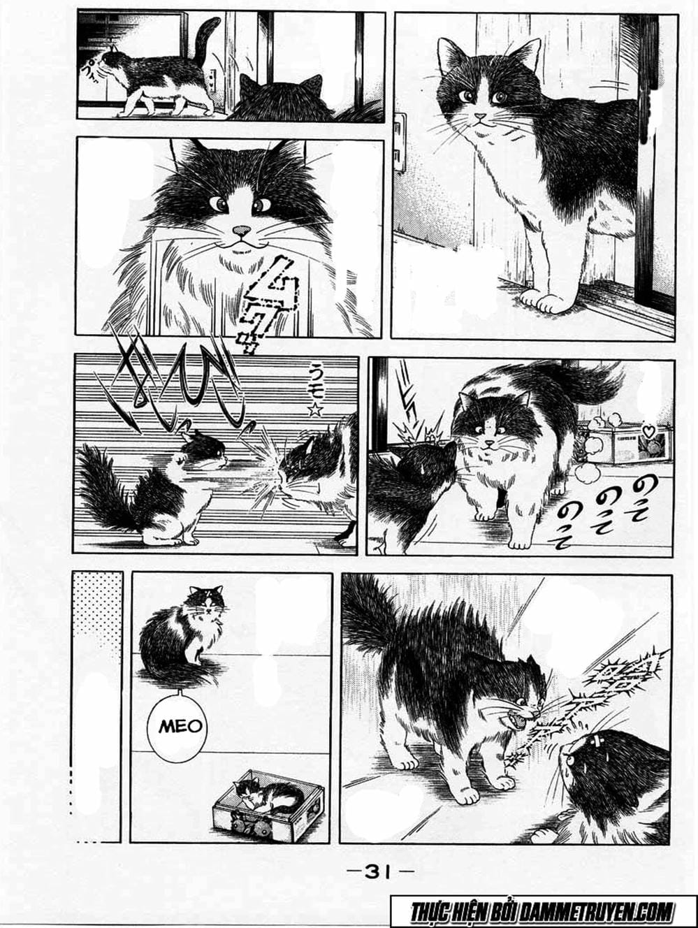 Truyện Tranh Đại Ca Đi Học Judo - Shin Kotaro Makaritoru! Juudouhen trang 5