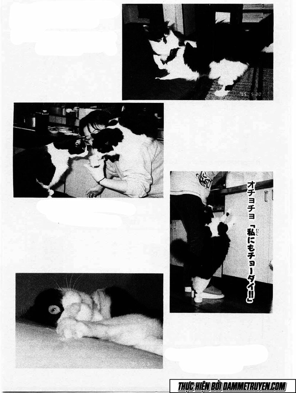 Truyện Tranh Đại Ca Đi Học Judo - Shin Kotaro Makaritoru! Juudouhen trang 5