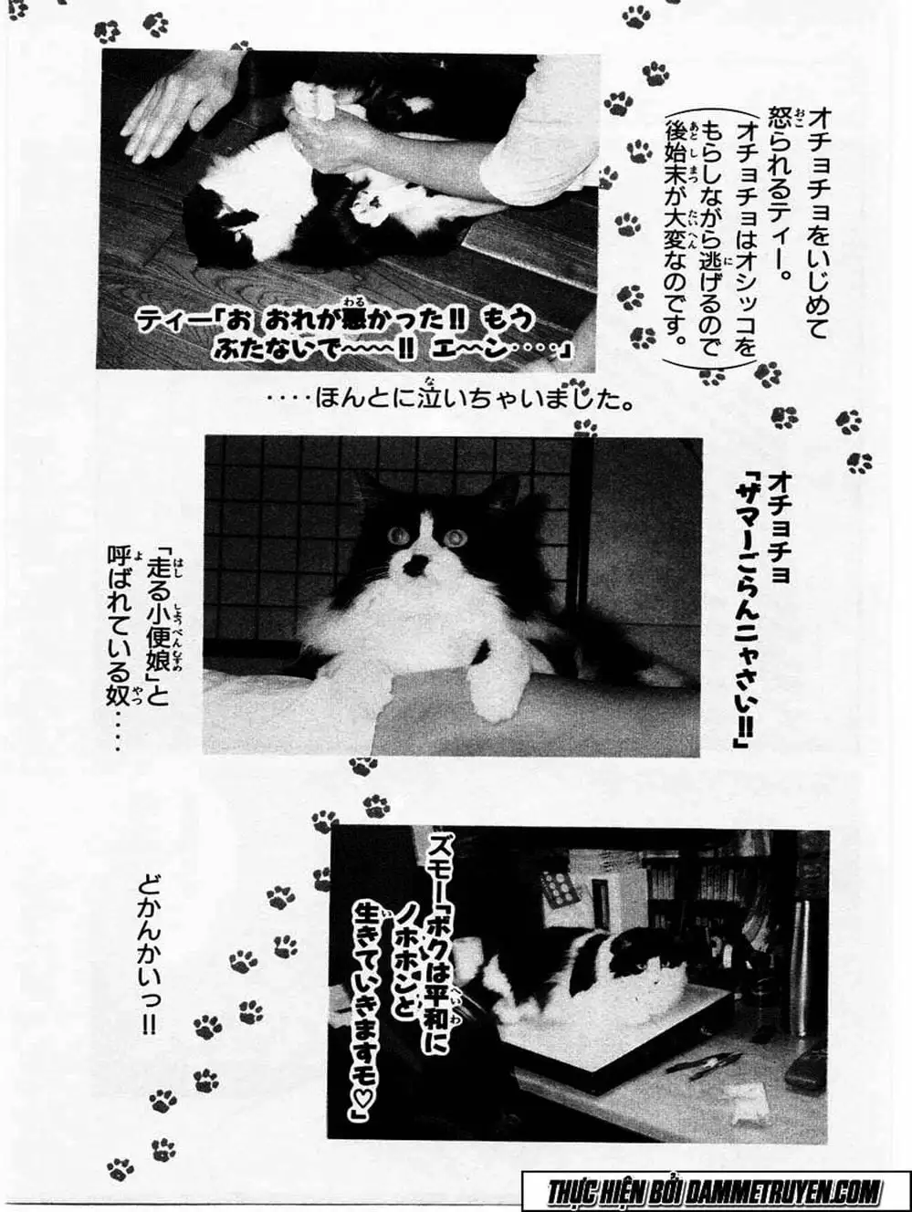 Truyện Tranh Đại Ca Đi Học Judo - Shin Kotaro Makaritoru! Juudouhen trang 5