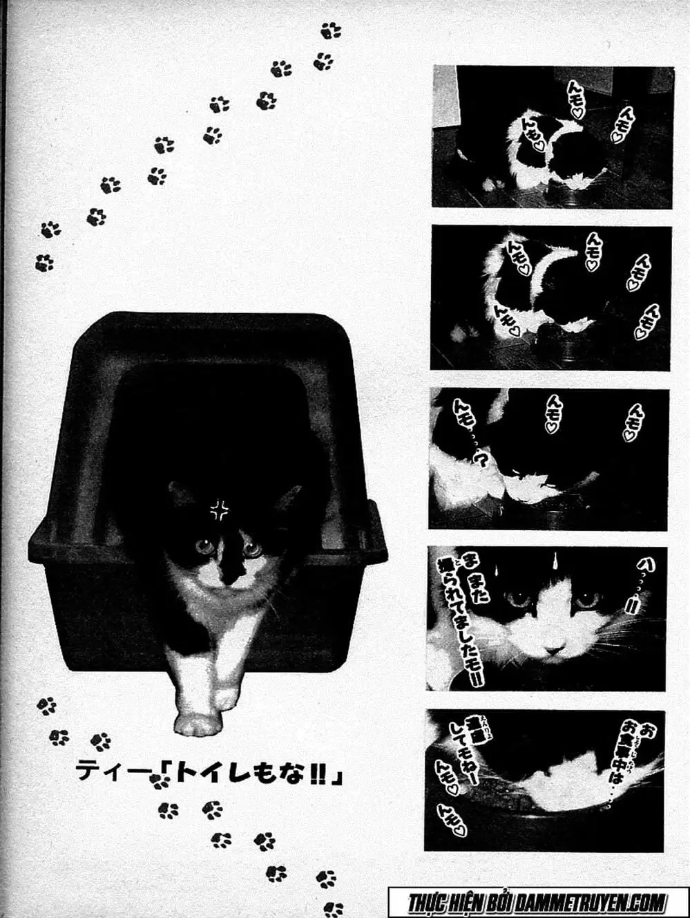 Truyện Tranh Đại Ca Đi Học Judo - Shin Kotaro Makaritoru! Juudouhen trang 5