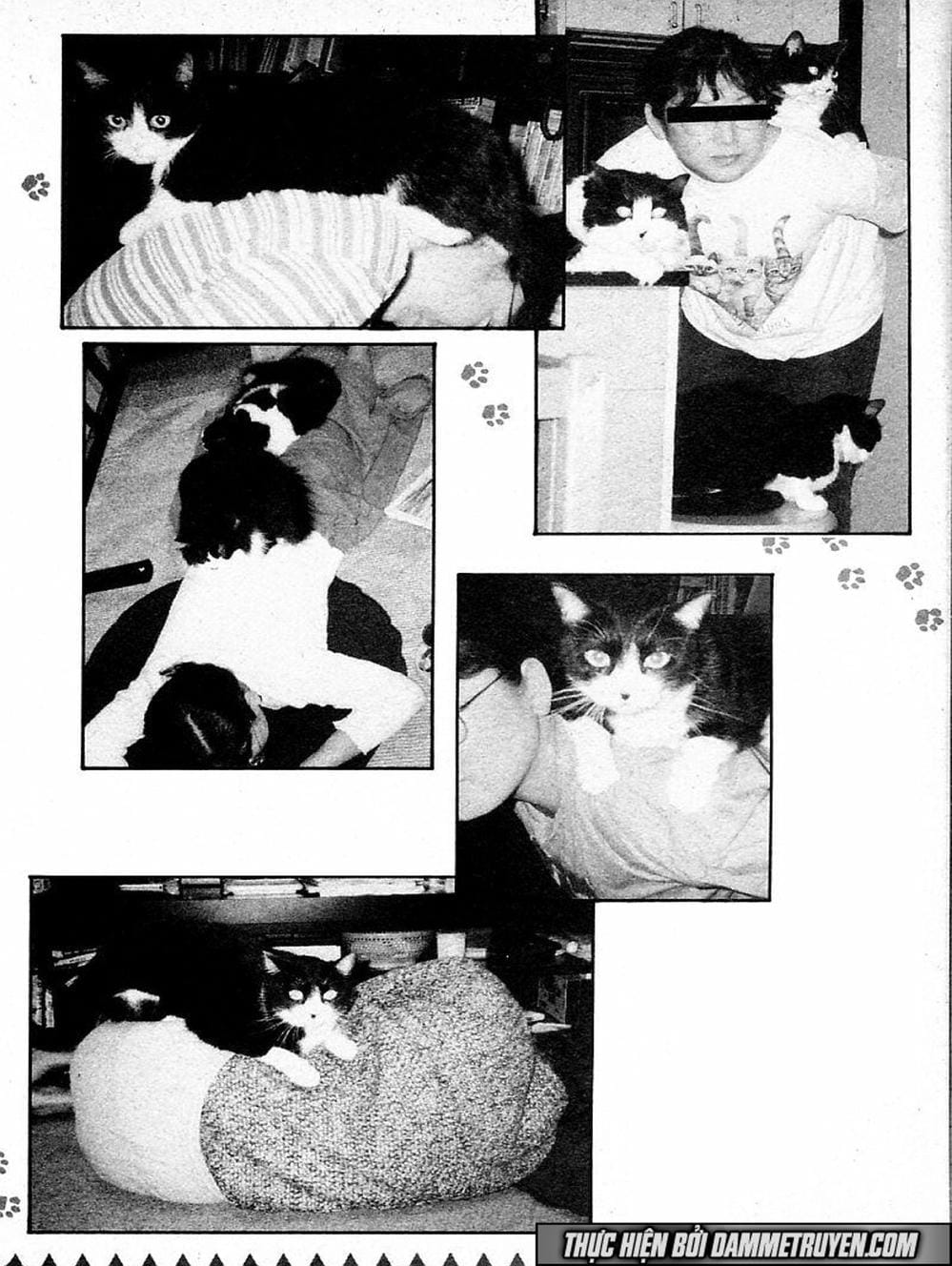 Truyện Tranh Đại Ca Đi Học Judo - Shin Kotaro Makaritoru! Juudouhen trang 5