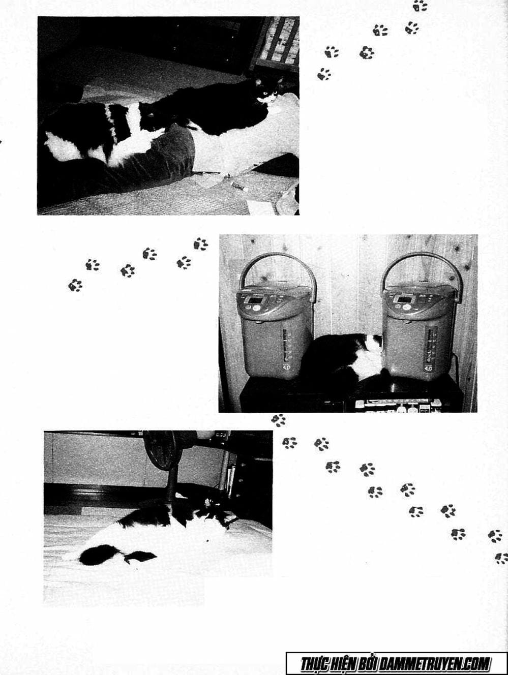 Truyện Tranh Đại Ca Đi Học Judo - Shin Kotaro Makaritoru! Juudouhen trang 5