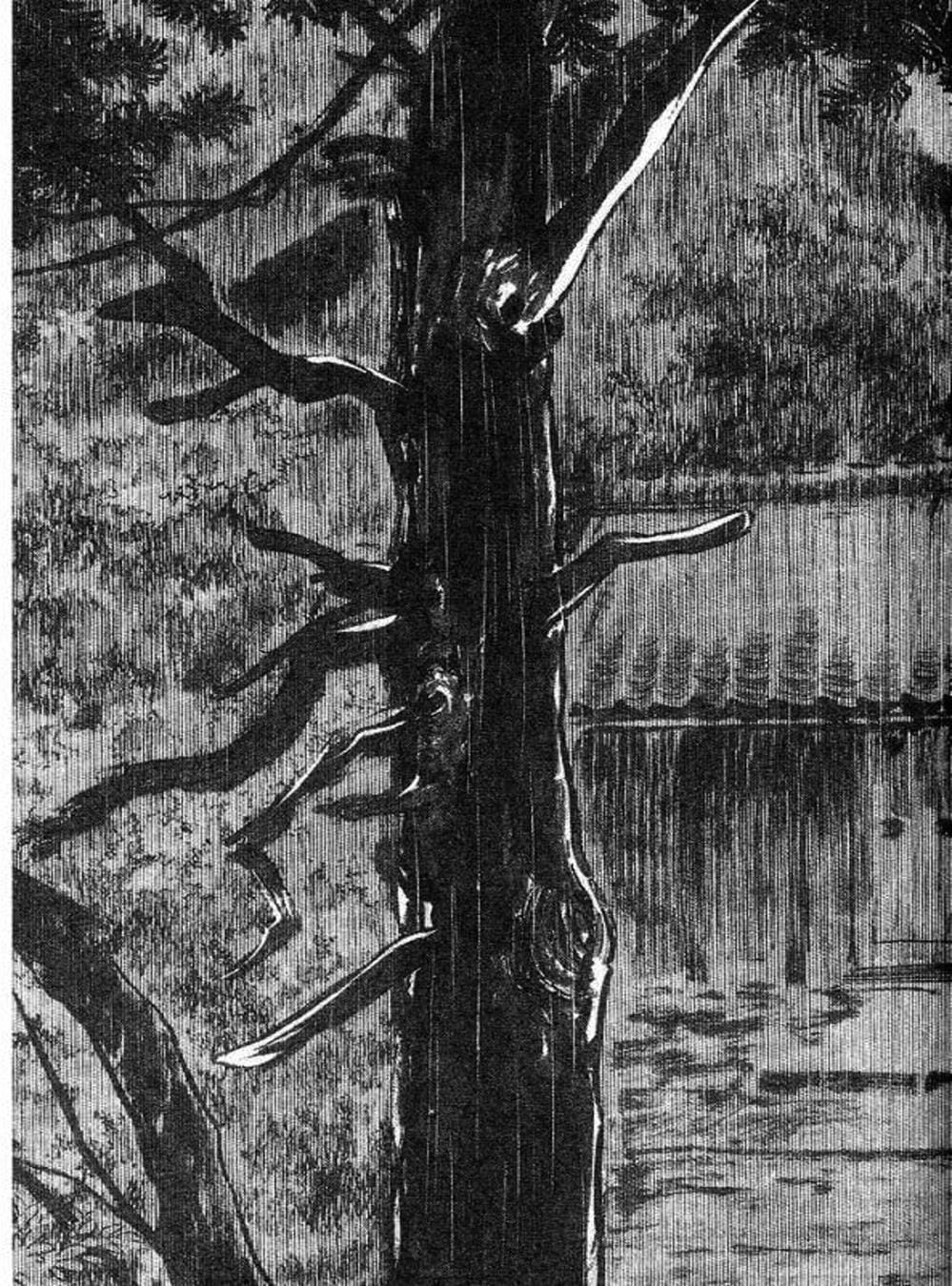 Truyện Tranh Sói Mang Con - Lone Wolf And Cub trang 5