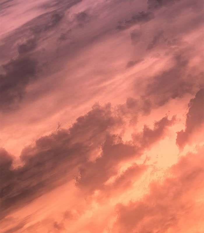 Truyện Tranh Solo Leveling Arise: Nguồn Gốc Của Thợ Săn trang 3