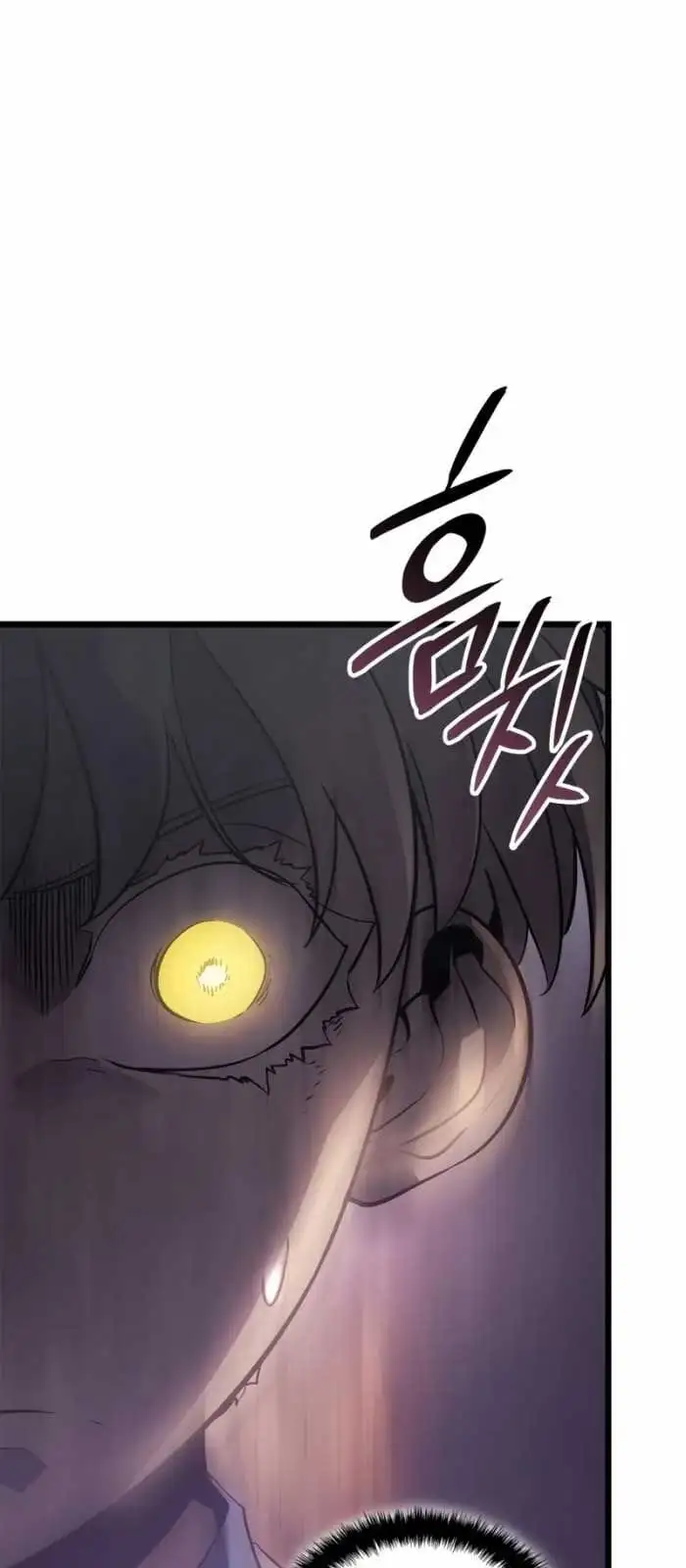 Truyện Tranh Solo Leveling - Tôi Thăng Cấp Một Mình: Tận Thế Ragnarok trang 3