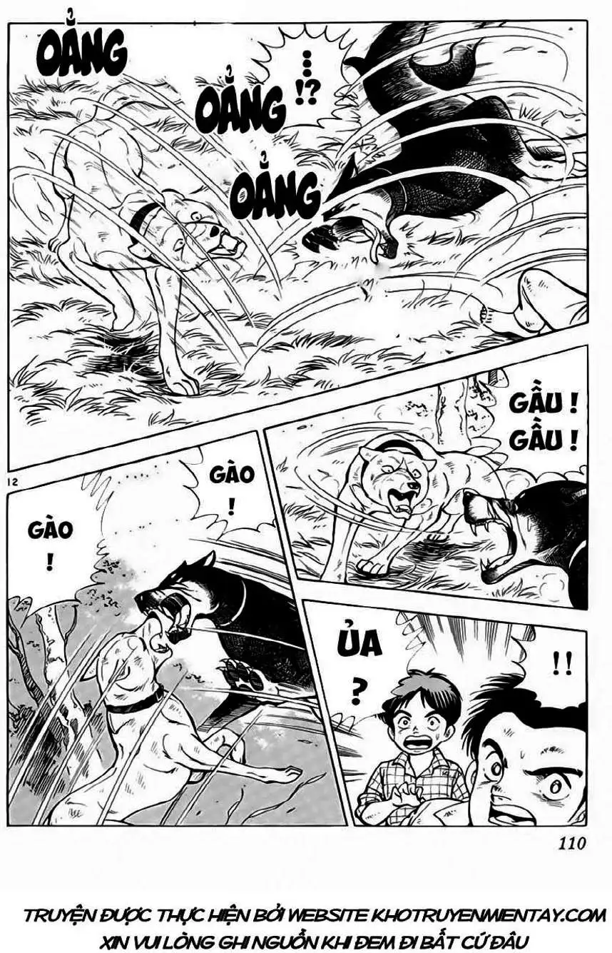 Truyện Tranh Sống Sót Trên Đảo Hoang - Survival In The Solitary Island trang 3