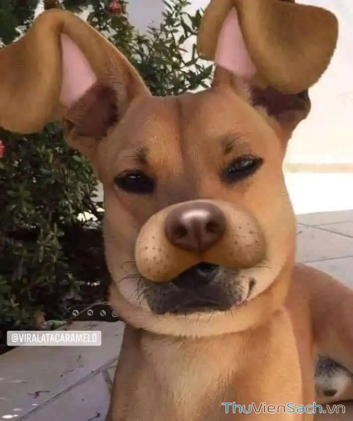 Truyện Tranh Thanh Gươm Diệt Quỷ trang 9