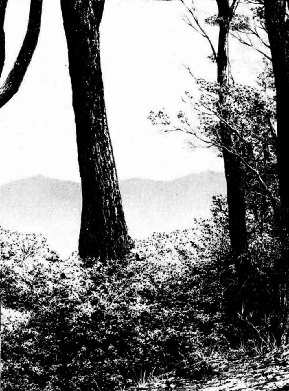 Truyện Tranh Người Cô Đơn - The Climber trang 7