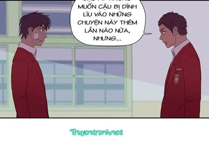 Truyện Tranh Thể Thao Cực Hạn - Wind Breaker trang 7