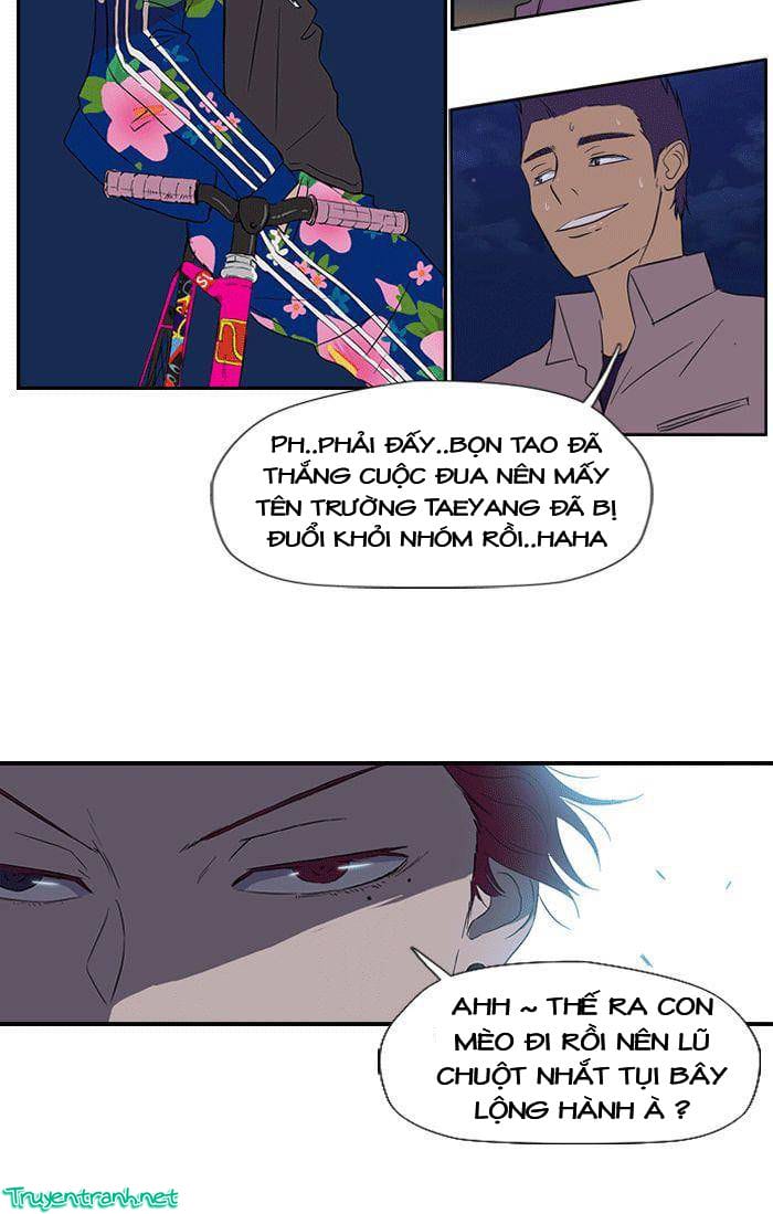 Truyện Tranh Thể Thao Cực Hạn - Wind Breaker trang 7