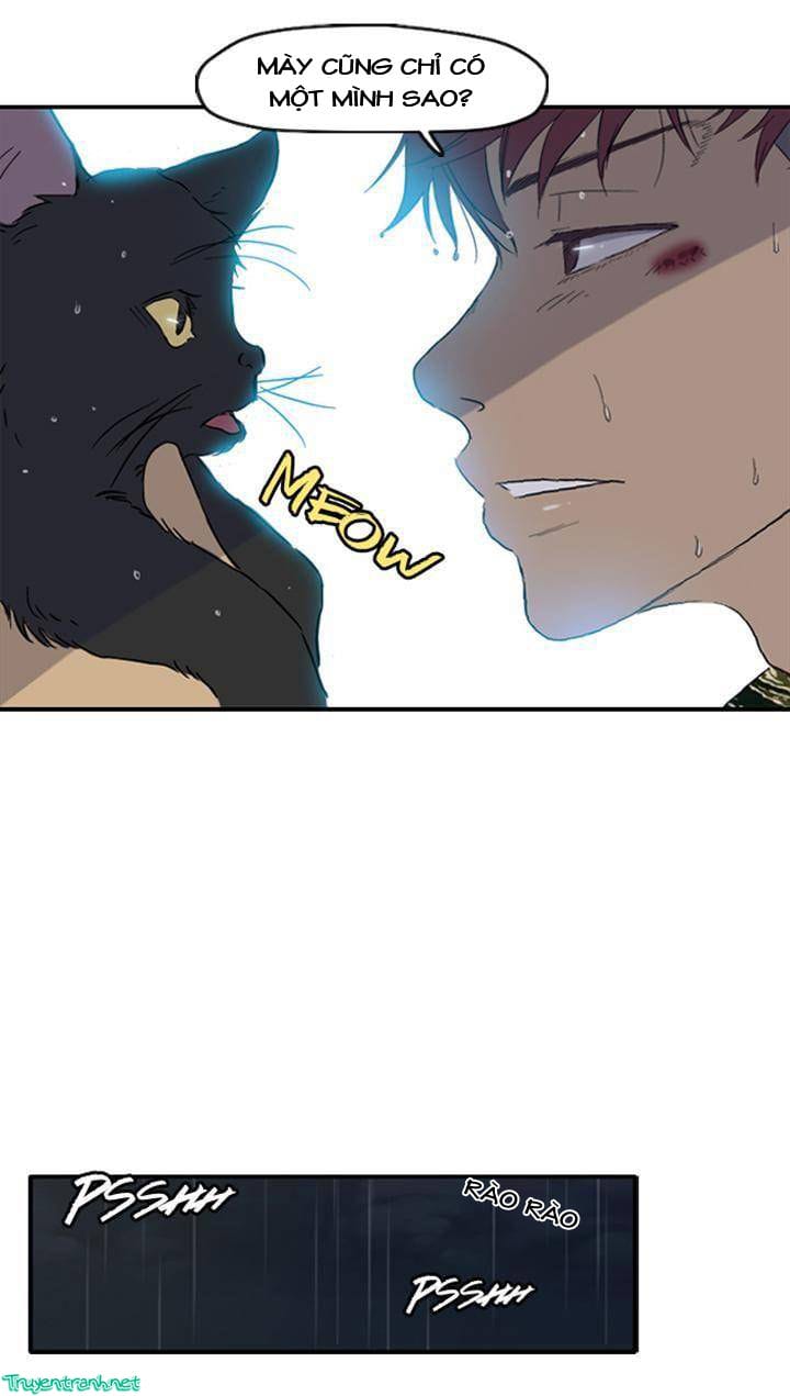 Truyện Tranh Thể Thao Cực Hạn - Wind Breaker trang 7