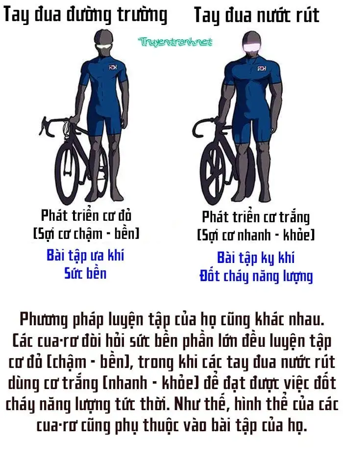 Truyện Tranh Thể Thao Cực Hạn - Wind Breaker trang 7