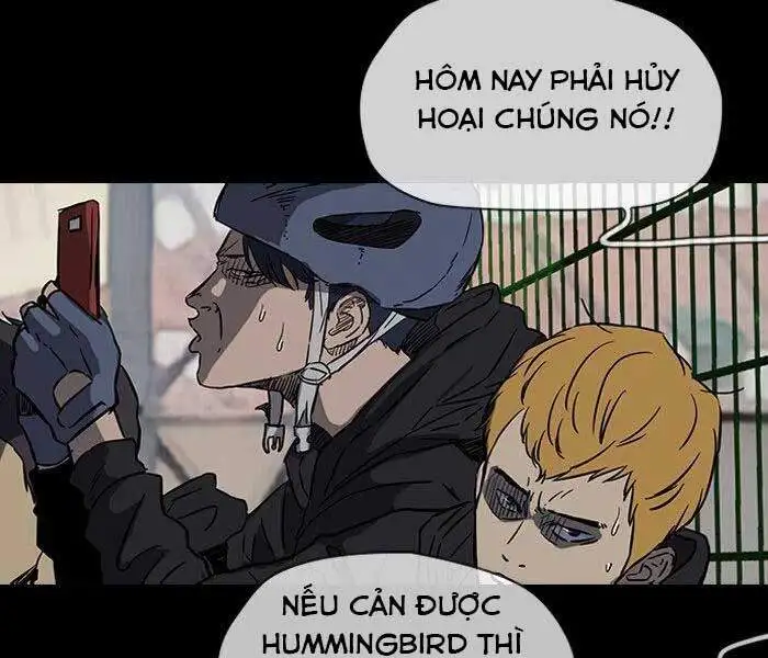 Truyện Tranh Thể Thao Cực Hạn - Wind Breaker trang 7