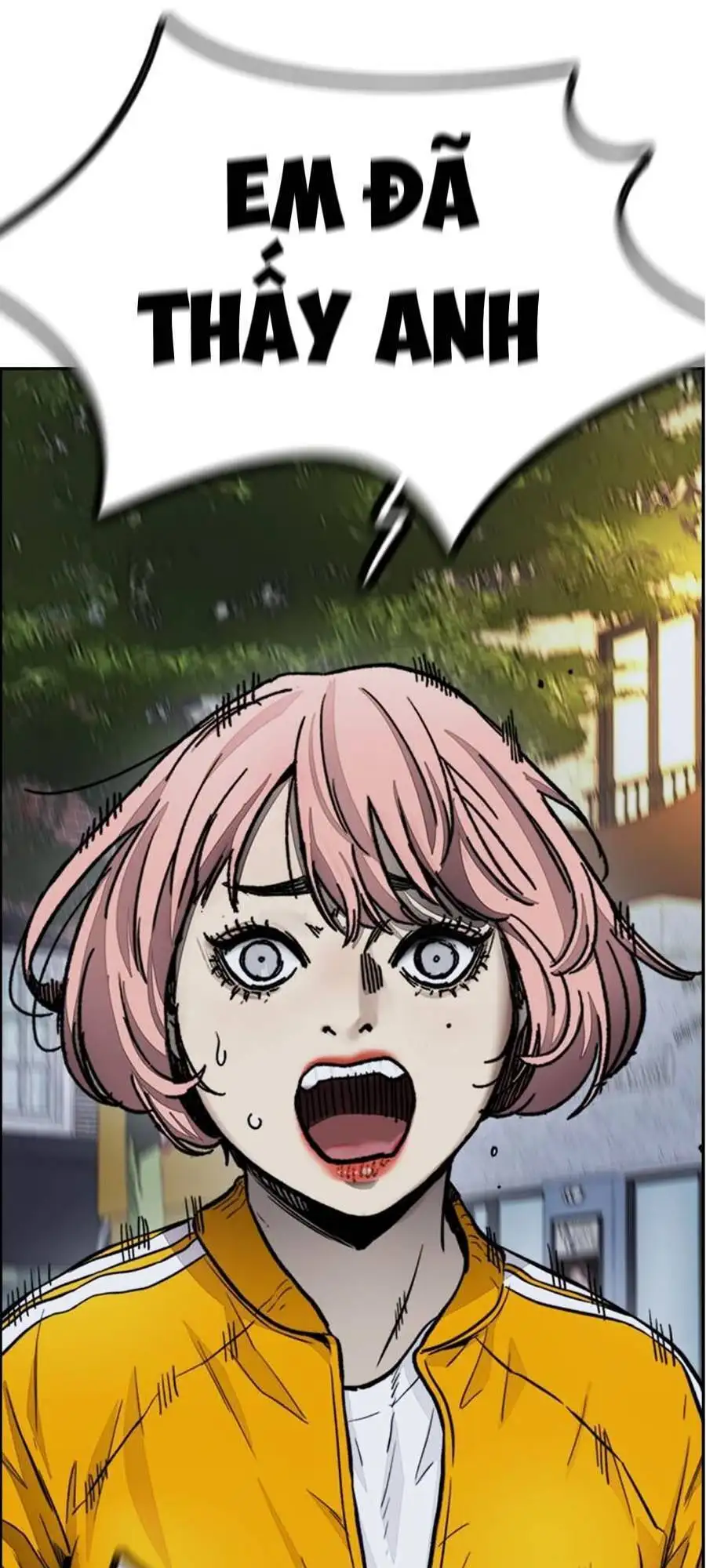 Truyện Tranh Thể Thao Cực Hạn - Wind Breaker trang 7