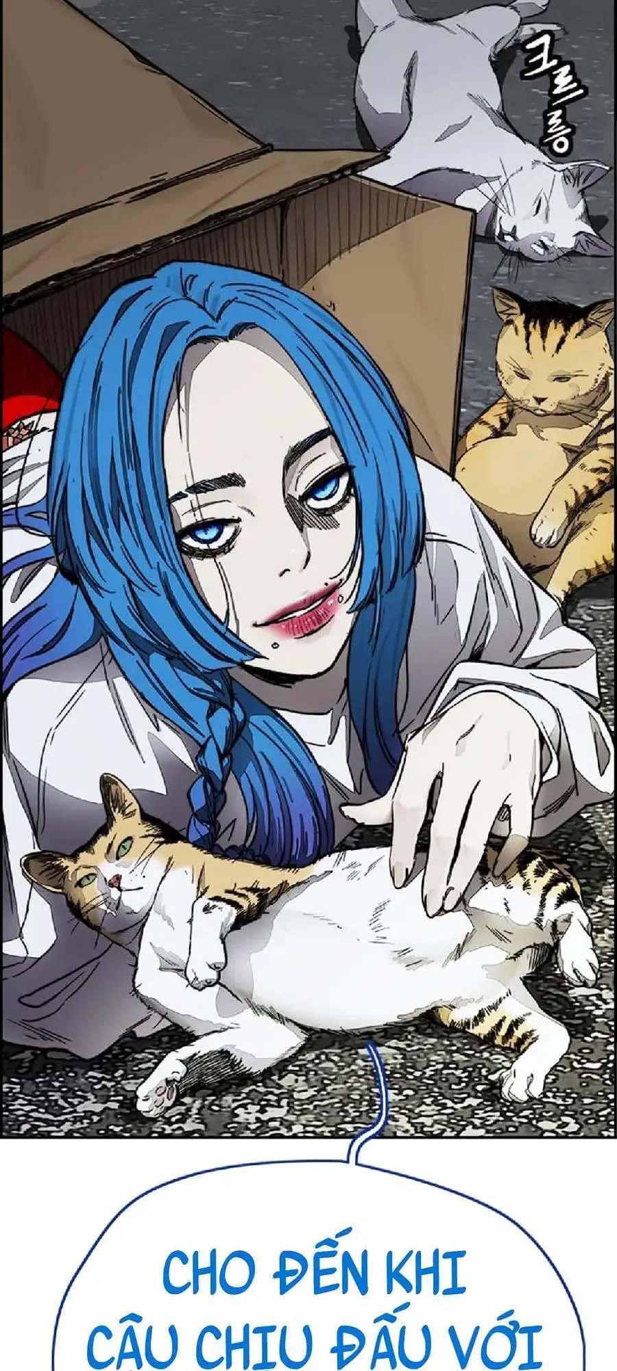 Truyện Tranh Thể Thao Cực Hạn - Wind Breaker trang 7
