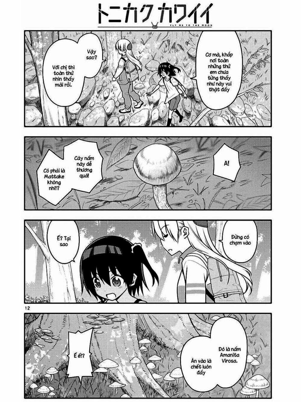 Truyện Tranh Tóm Lại Là Em Rất Dễ Thương - Tonikaku Kawaii trang 6