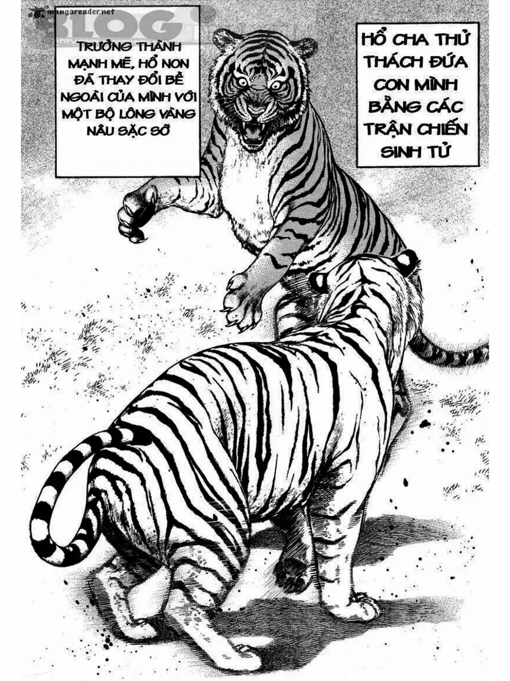 Truyện Tranh Khó Khăn - Tough trang 4