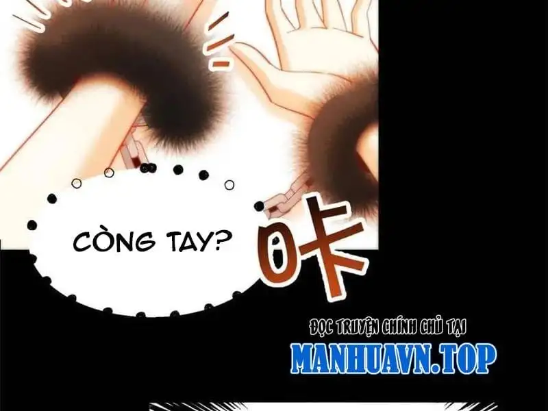 Truyện Tranh Trọng Sinh Không Làm Chạn Vương, Tôi Một Mình Nạp Game Thăng Cấp trang 4