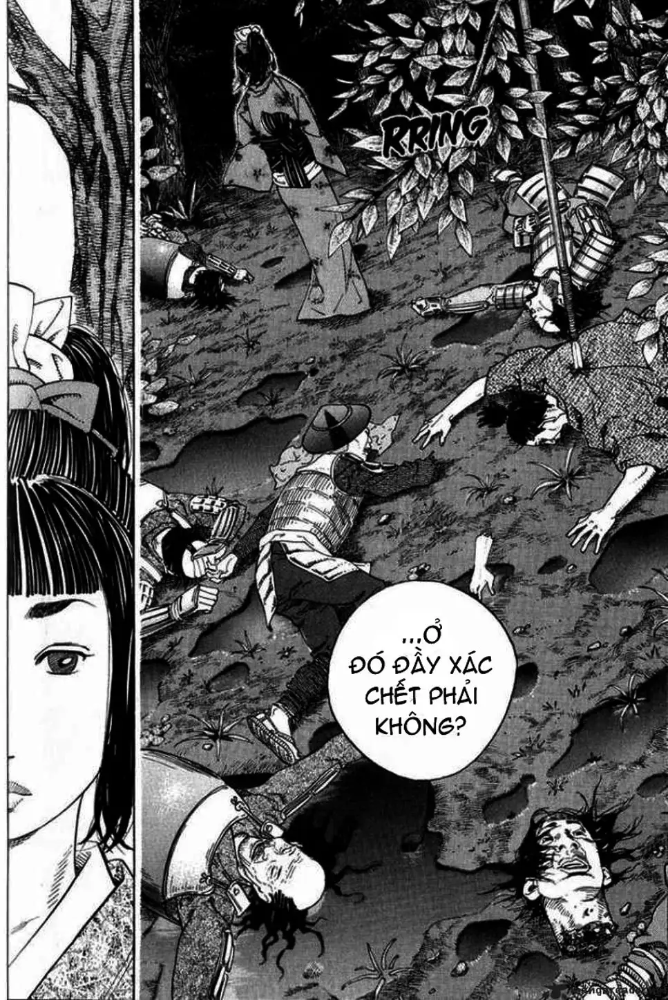 Truyện Tranh Lãng Khách - Vagabond trang 4