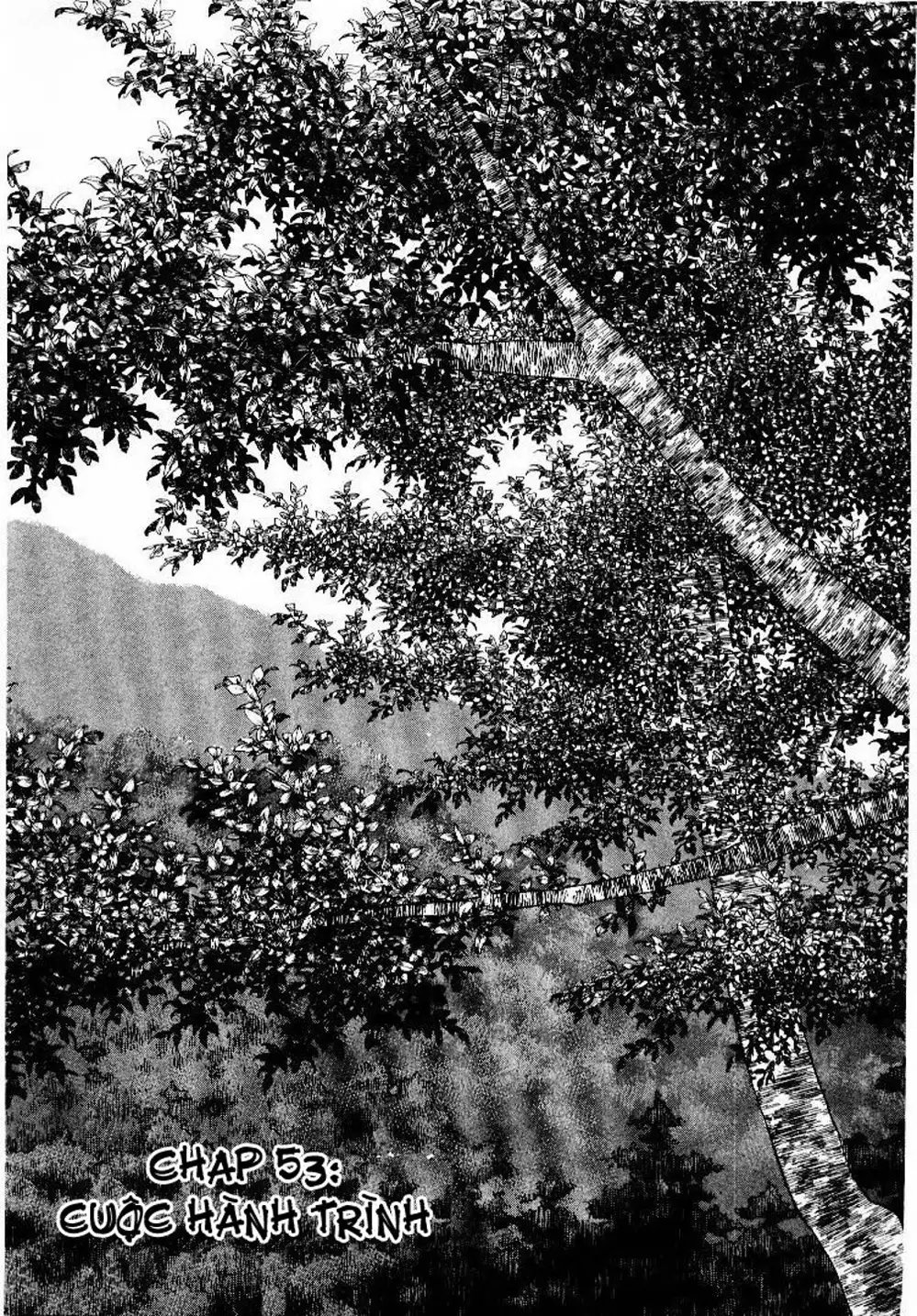 Truyện Tranh Lãng Khách - Vagabond trang 4