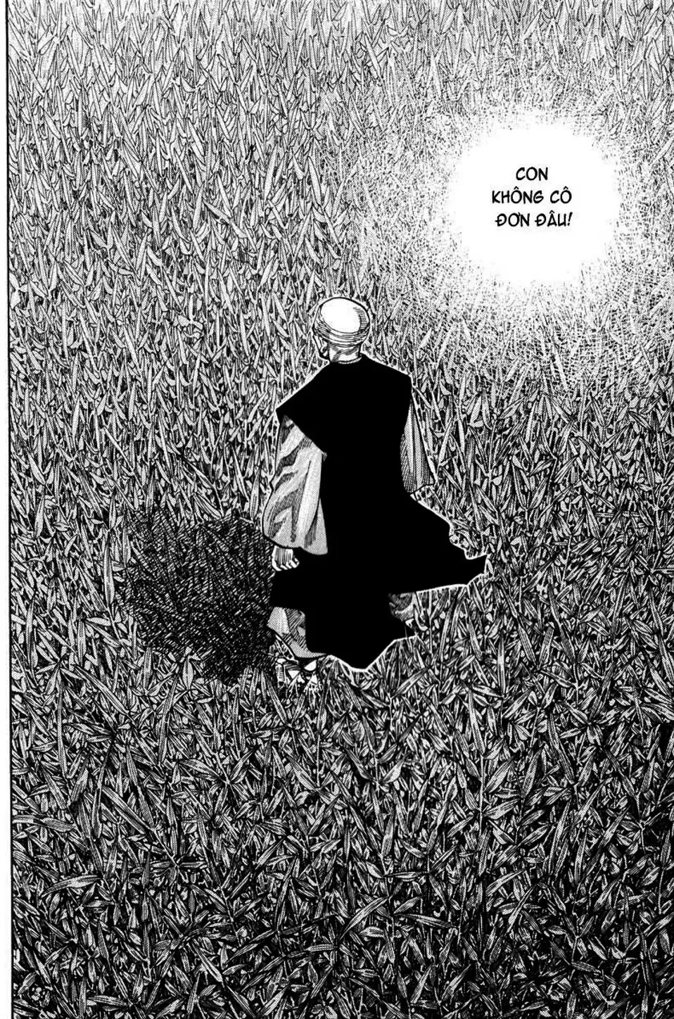 Truyện Tranh Lãng Khách - Vagabond trang 4