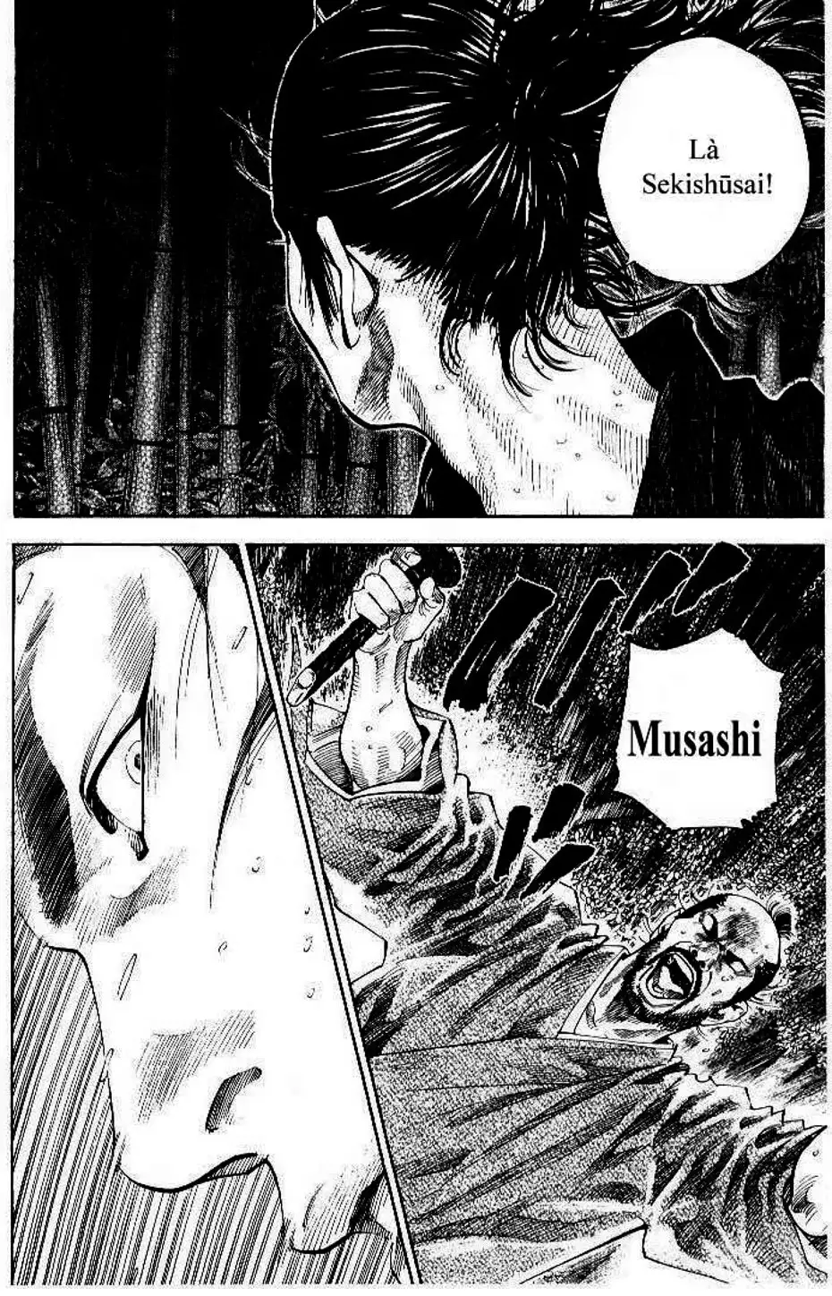 Truyện Tranh Lãng Khách - Vagabond trang 4